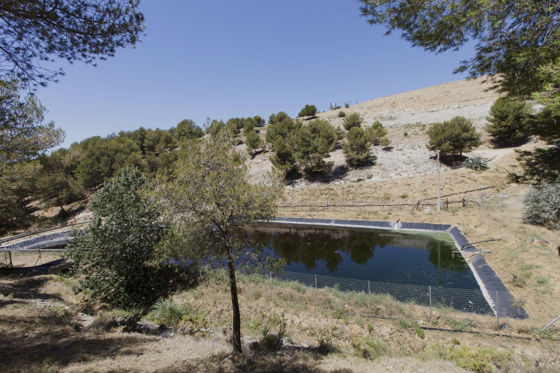 Biodiversité